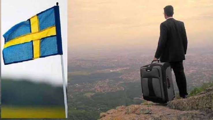 الرواتب ومزايا وأنواع عقود العمل في السويد